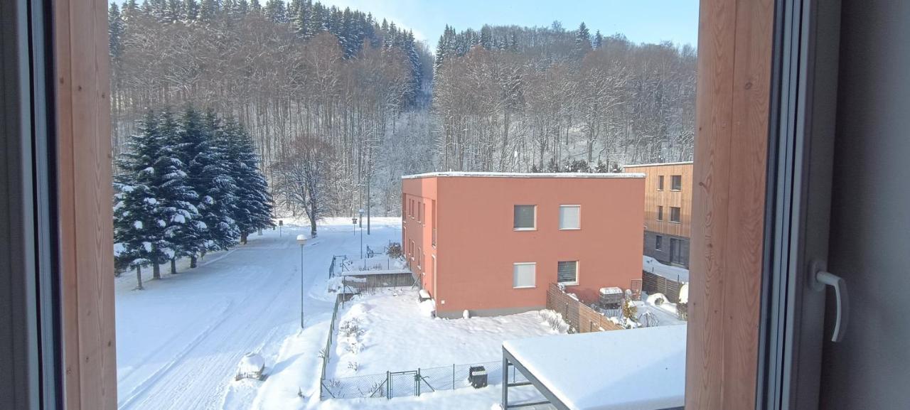 Apartman Nely Svoboda nad Úpou Exteriér fotografie